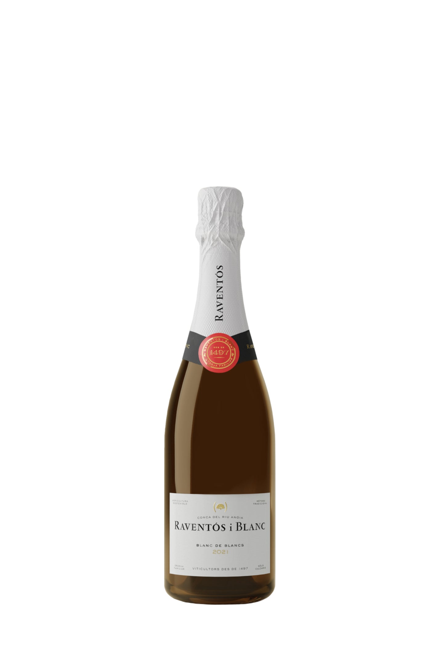 Putojantis vynas RAVENTOS I BALNC Blanc de Blancs