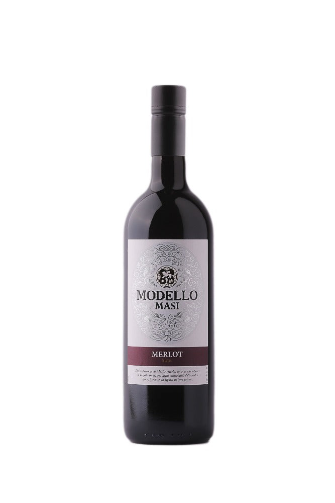 Red dry wine MASI MODELLO MERLOT – Vinvin dėžė