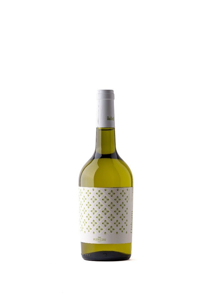 Baltas sausas vynas MURVIEDRO GALEAM DRY MUSCAT